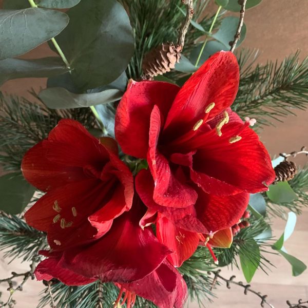 75C56E7C-649C-464B-9A64-0C5368425629